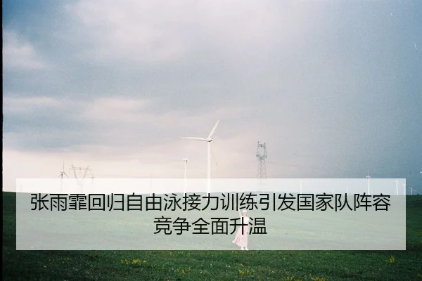 张雨霏回归自由泳接力训练引发国家队阵容竞争全面升温 - YIDESPORTS